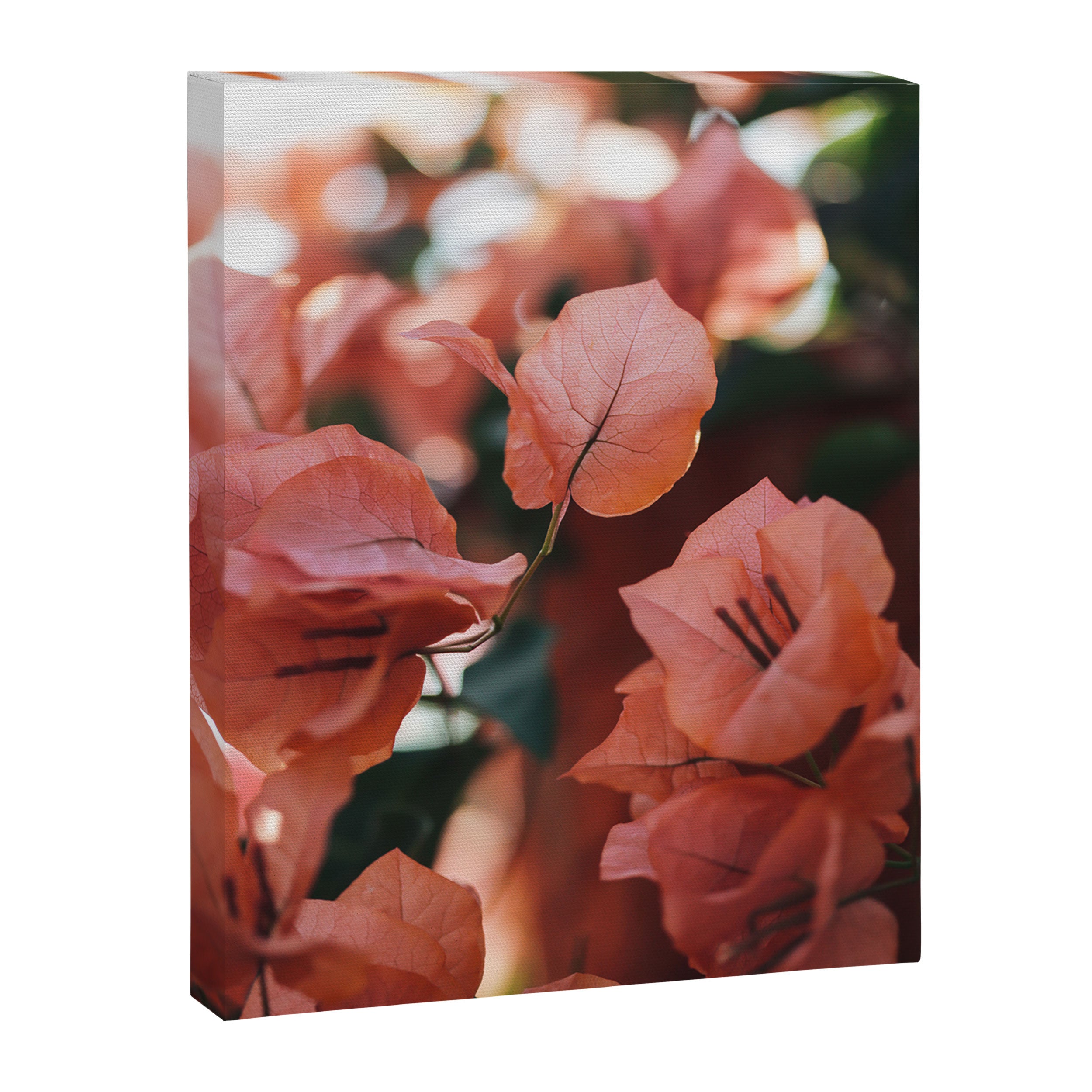 Bright Morning #6 Canvas Print Gallery Image 6