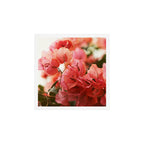 Bright Morning #8 Art Print Gallery Image 1