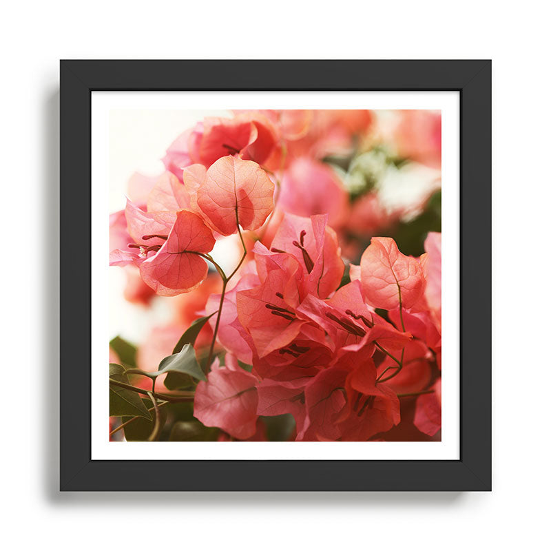 Bright Morning #8 Framed Art Print Gallery Image 1