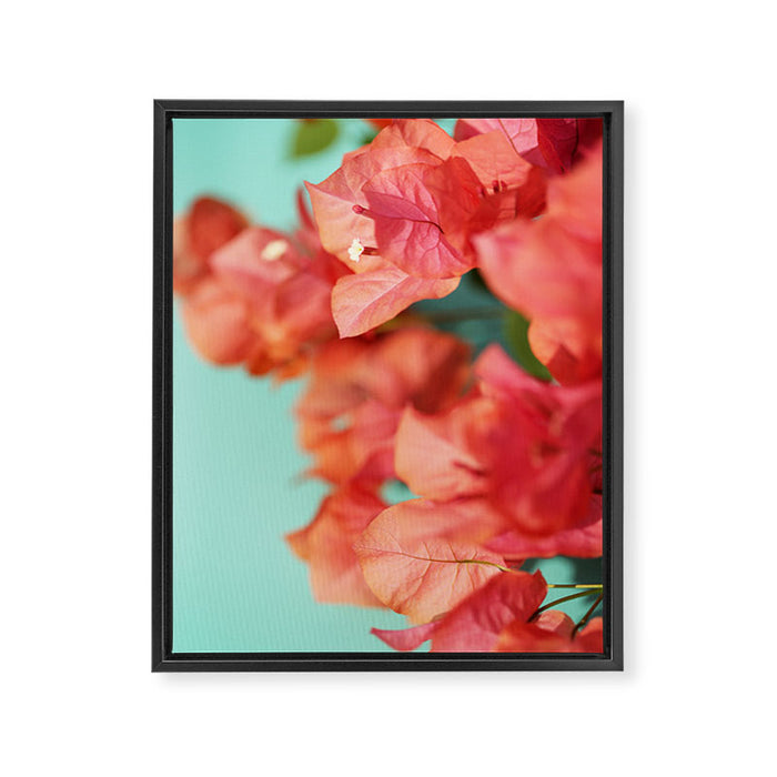 Bright Star #1 Framed Canvas Print Gallery Image 1
