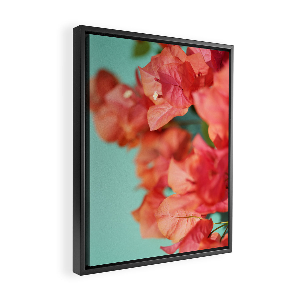 Bright Star #1 Framed Canvas Print Gallery Image 2