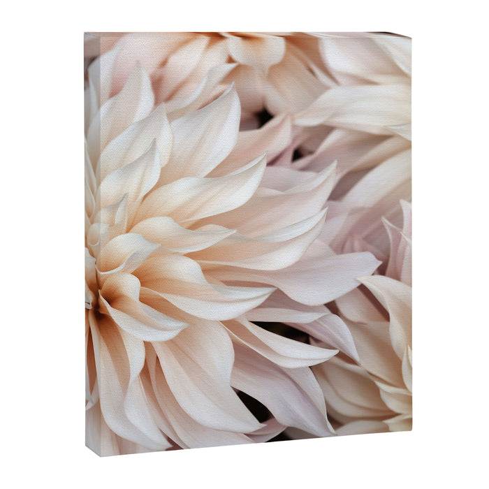 Cafe Au Lait #3 - Modern Floral Photograph Canvas Print Gallery Image 1
