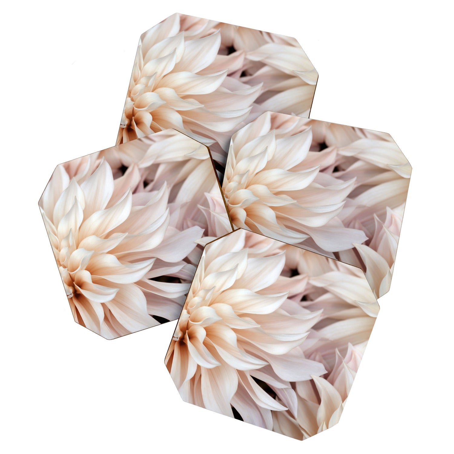 Cafe Au Lait #3 - Modern Floral Photograph Coaster Gallery Image 1