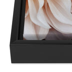 Cafe Au Lait #3 - Modern Floral Photograph Framed Canvas Print Gallery Image 3