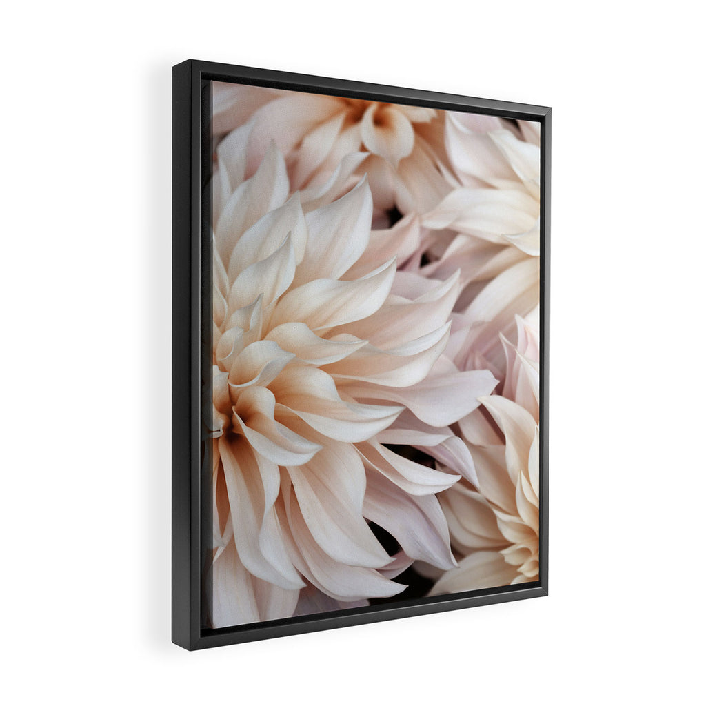 Cafe Au Lait #3 - Modern Floral Photograph Framed Canvas Print Gallery Image 2