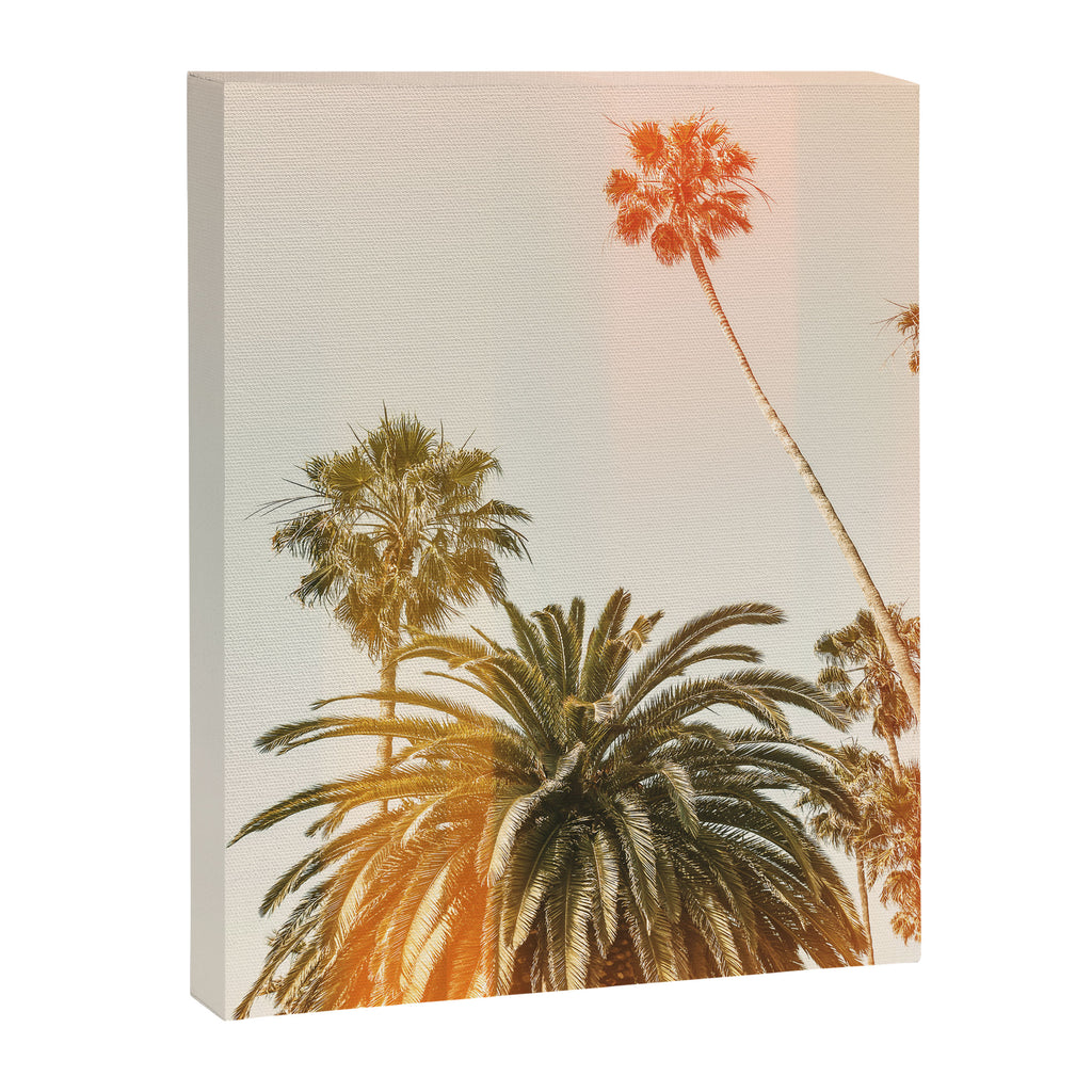 California Palms 2 - Modern Fine Art Print Canvas Print Gallery Image 6