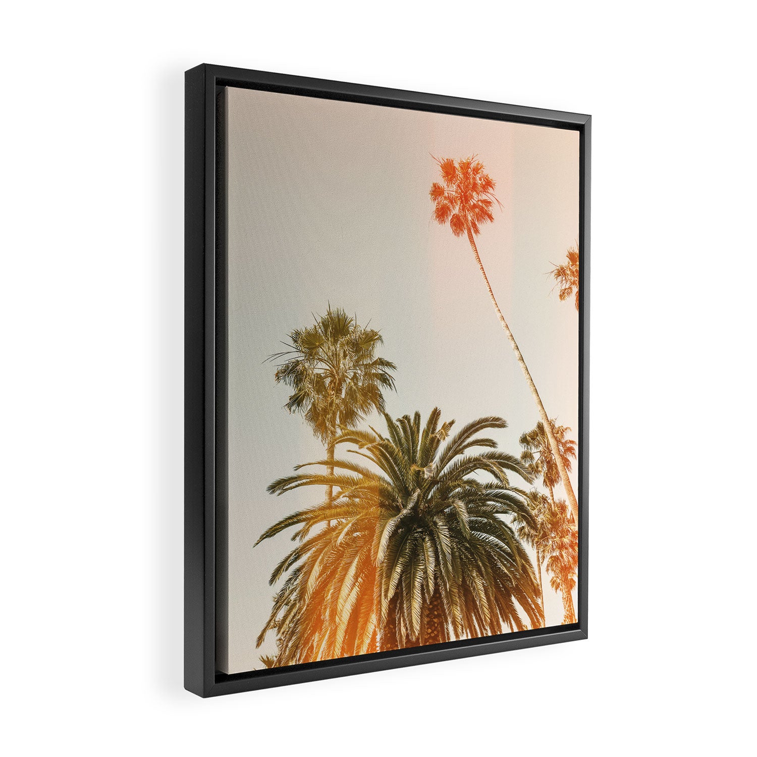 California Palms 2 - Modern Fine Art Print Framed Canvas Print Gallery Image 2