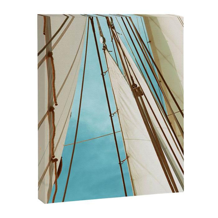 Catch The Wind Canvas Print Gallery Image 1