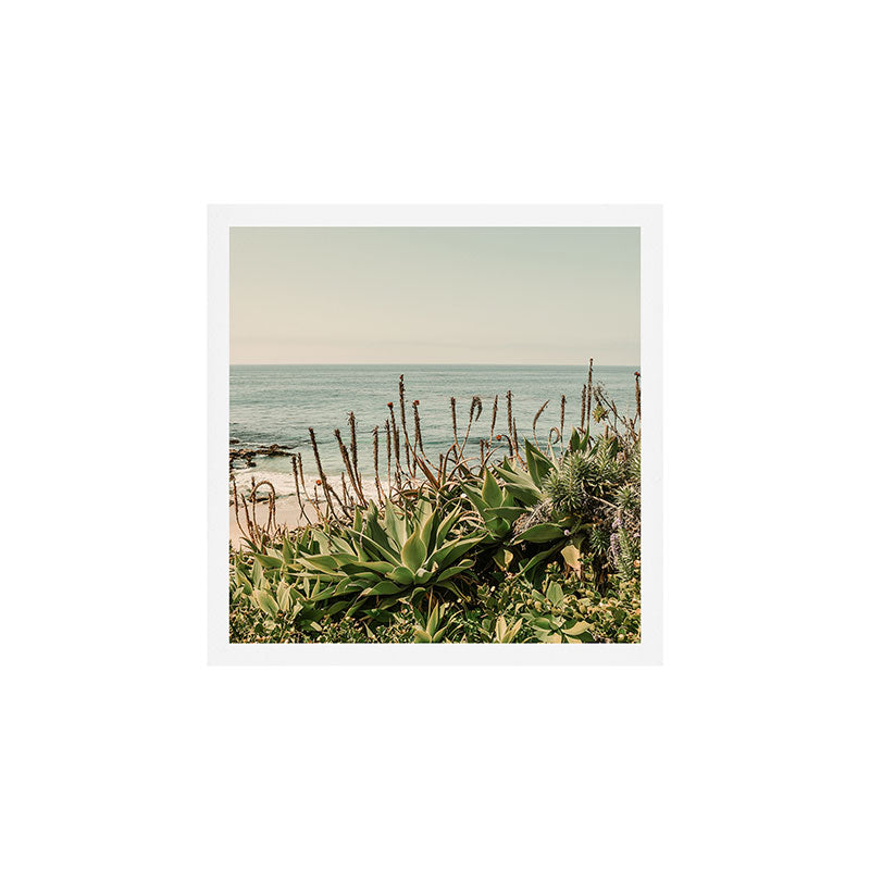Coastal Agave Art Print Gallery Image 1