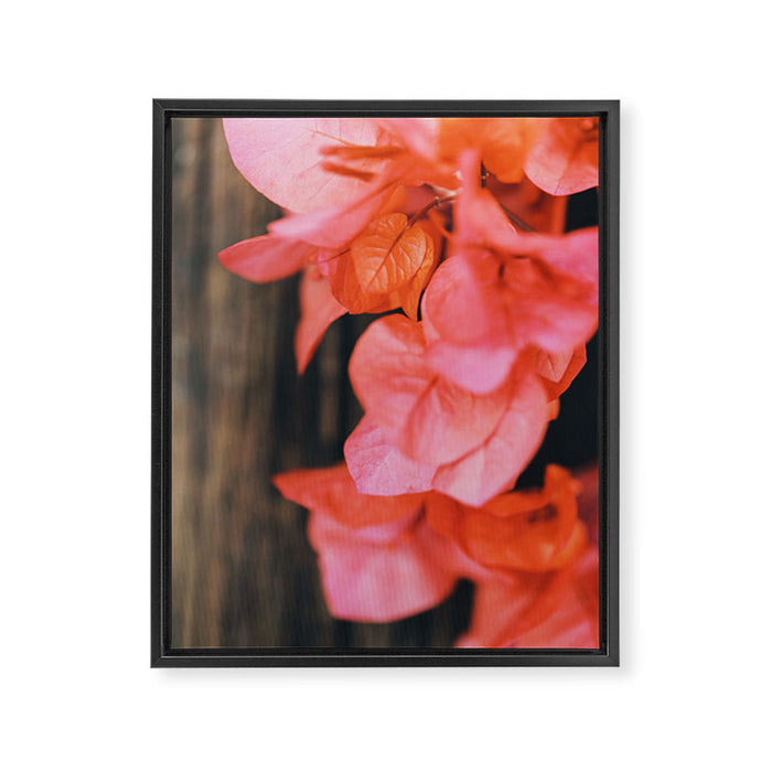 Coral Framed Canvas Print Gallery Image 1