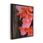 Coral Framed Canvas Print Gallery Image 2