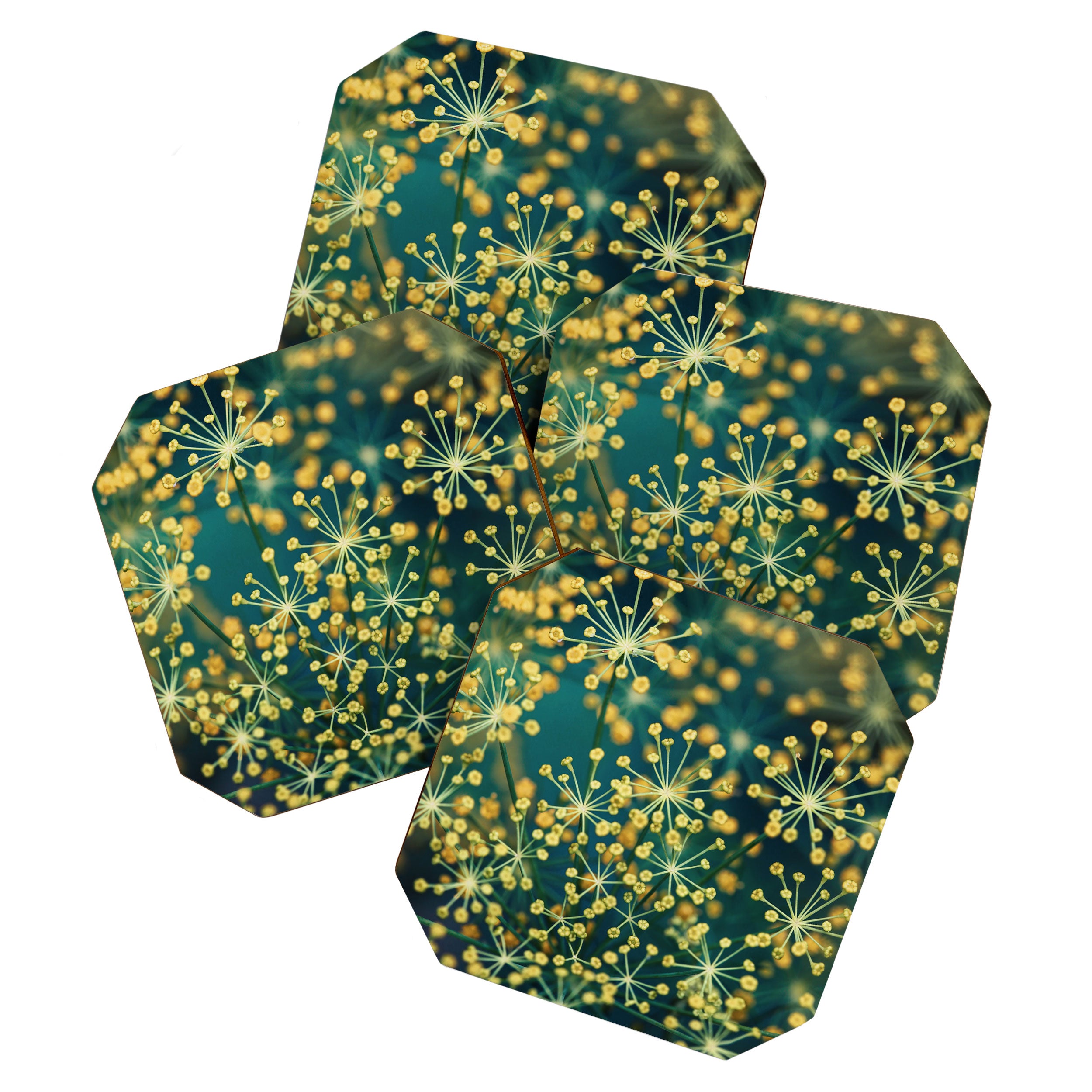 Dill #5 Coaster Gallery Image 1