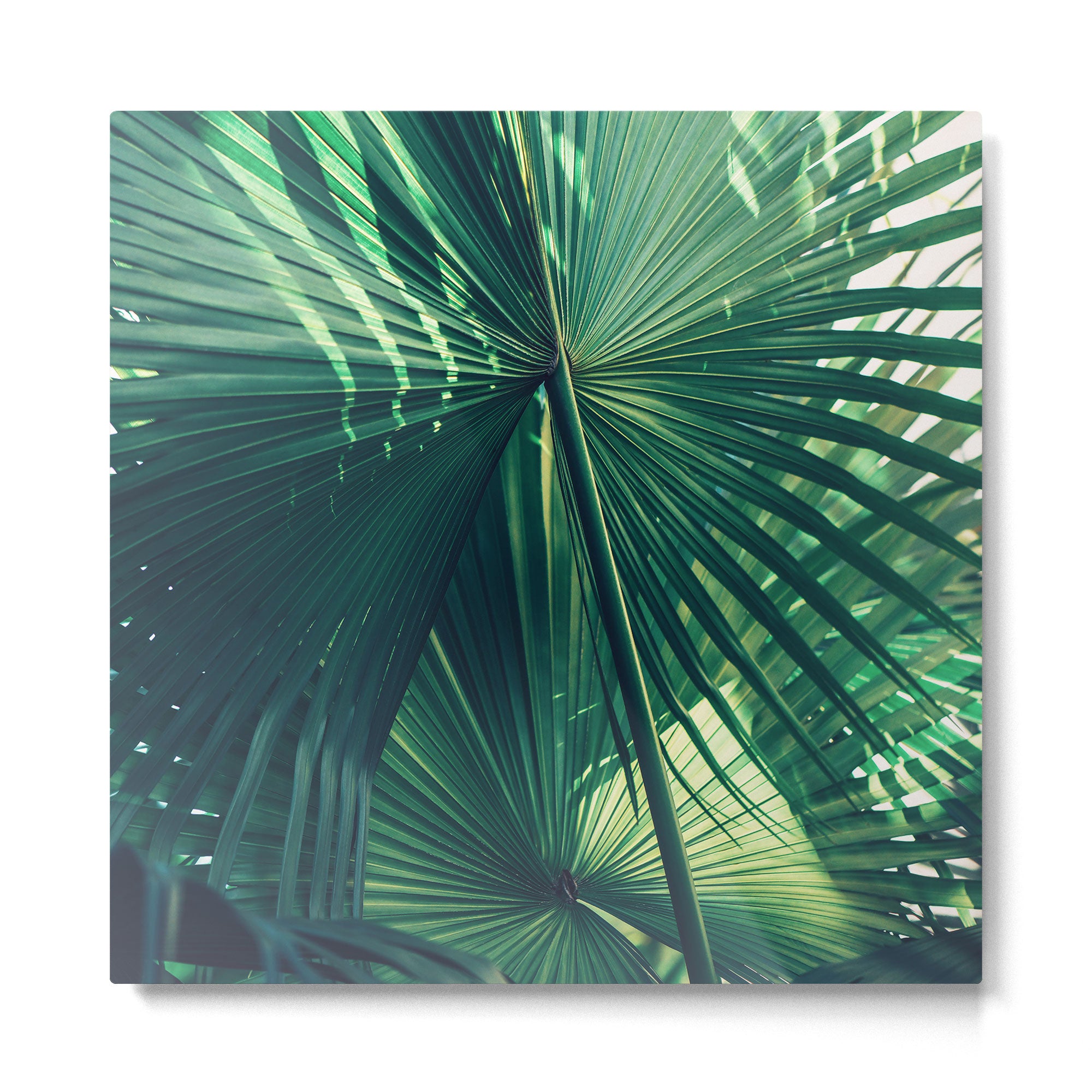 Everything Was Green Metal Print Gallery Image 2