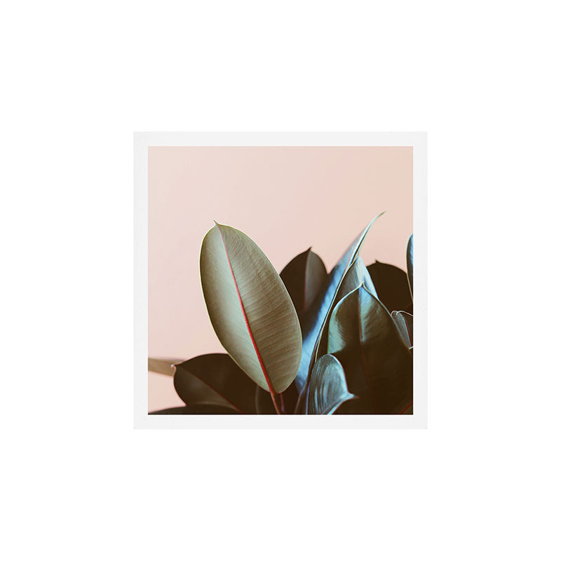 Ficus Elastica #1 Art Print Gallery Image 1