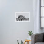 Joshua Tree #1 Art Print Gallery Image 3