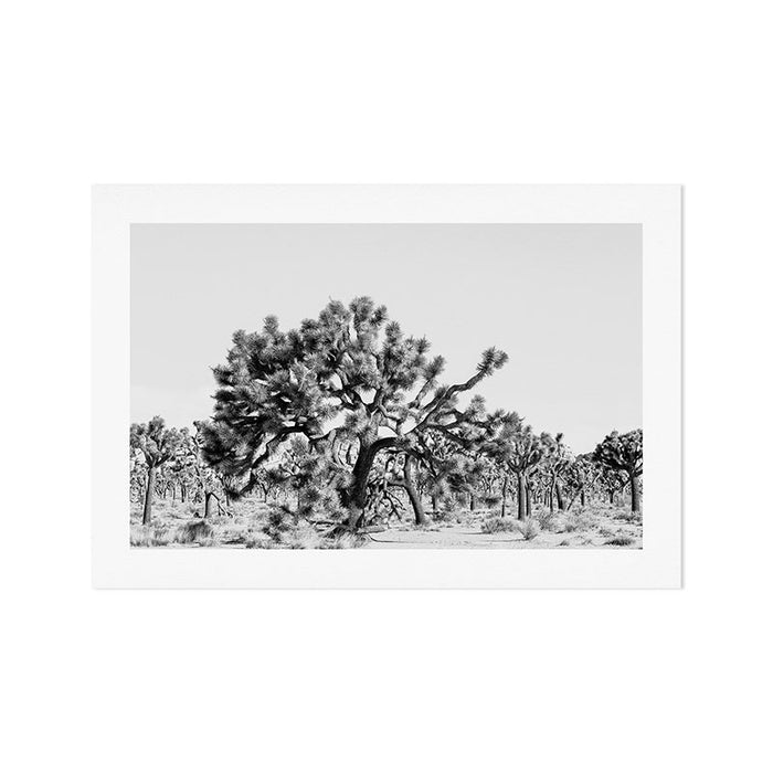 Joshua Tree #1 Art Print Gallery Image 1