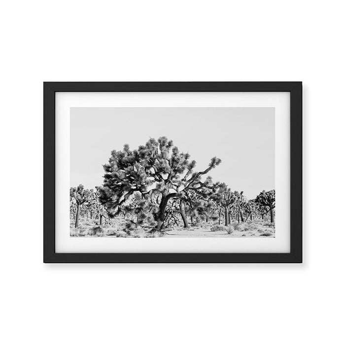 Joshua Tree #1 Framed Art Print Gallery Image 1