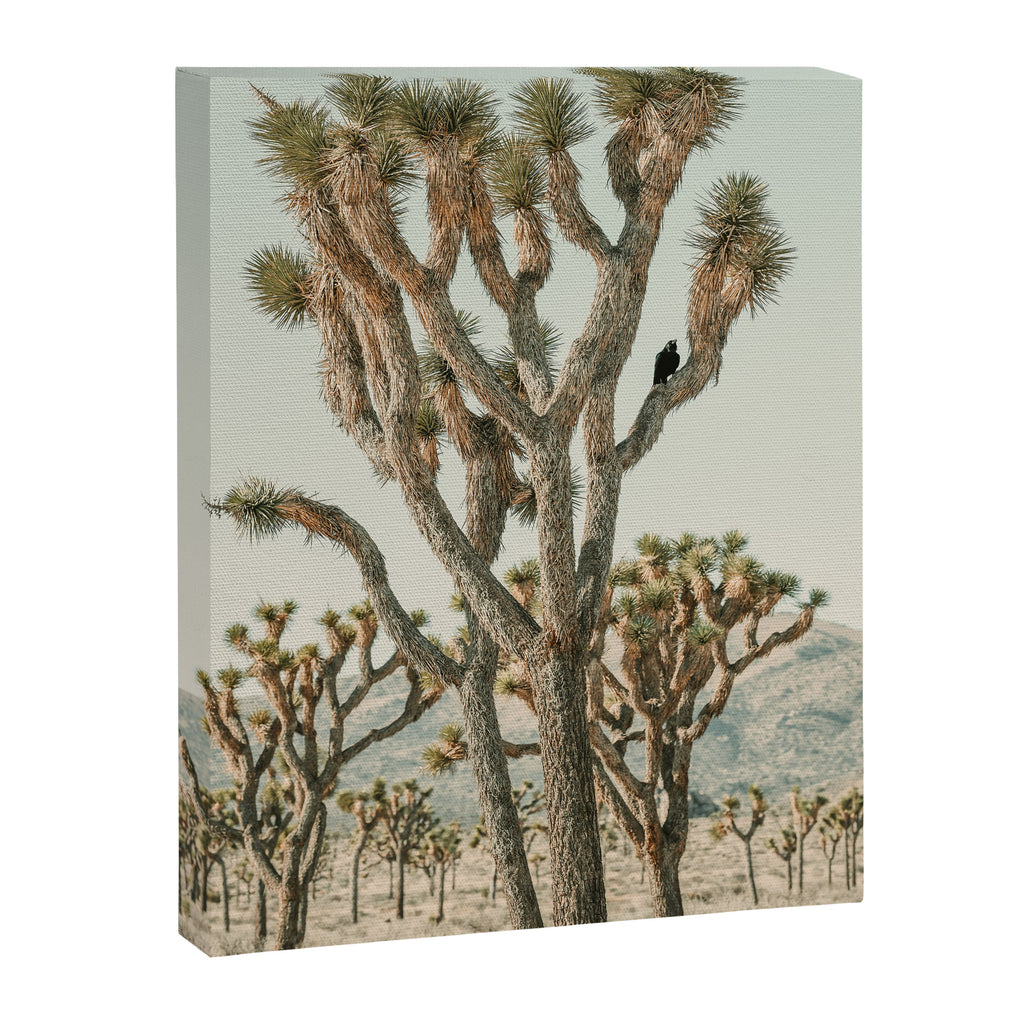 Joshua Tree With Crow - Modern Fine Art Photograph Canvas Print Gallery Image 6