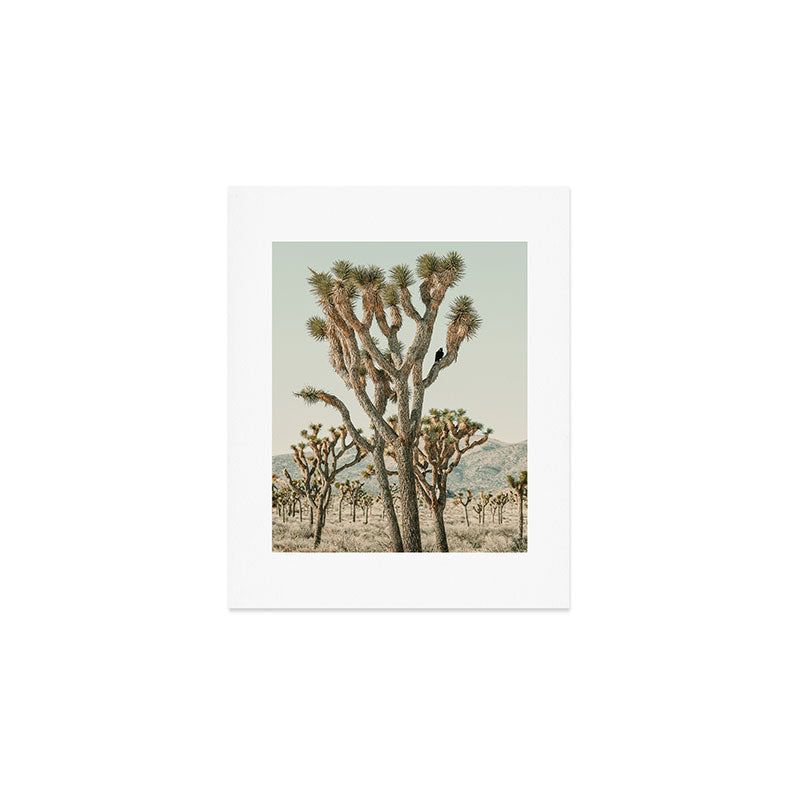 Joshua Tree With Crow - Modern Fine Art Photograph Art Print Gallery Image 1