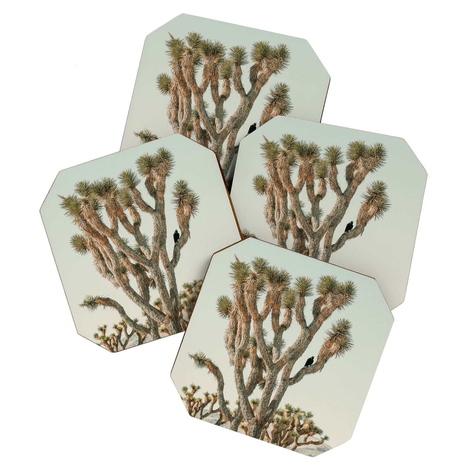 Joshua Tree With Crow - Modern Fine Art Photograph Coaster Gallery Image 1