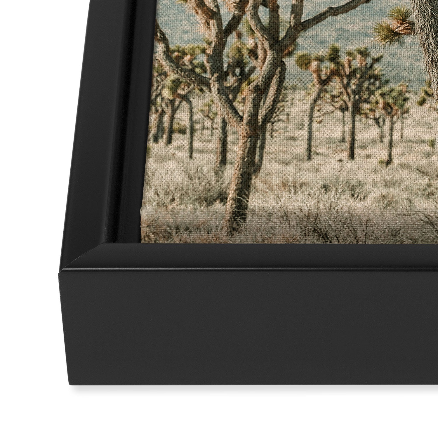 Joshua Tree With Crow - Modern Fine Art Photograph Framed Canvas Print Gallery Image 3