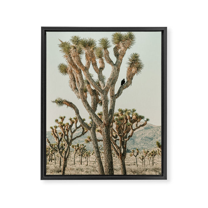 Joshua Tree With Crow - Modern Fine Art Photograph Framed Canvas Print Gallery Image 1