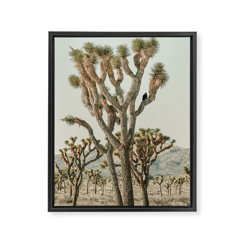 Joshua Tree With Crow - Modern Fine Art Photograph Framed Canvas Print Gallery Image 6