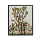Joshua Tree With Crow - Modern Fine Art Photograph Framed Canvas Print Gallery Image 6