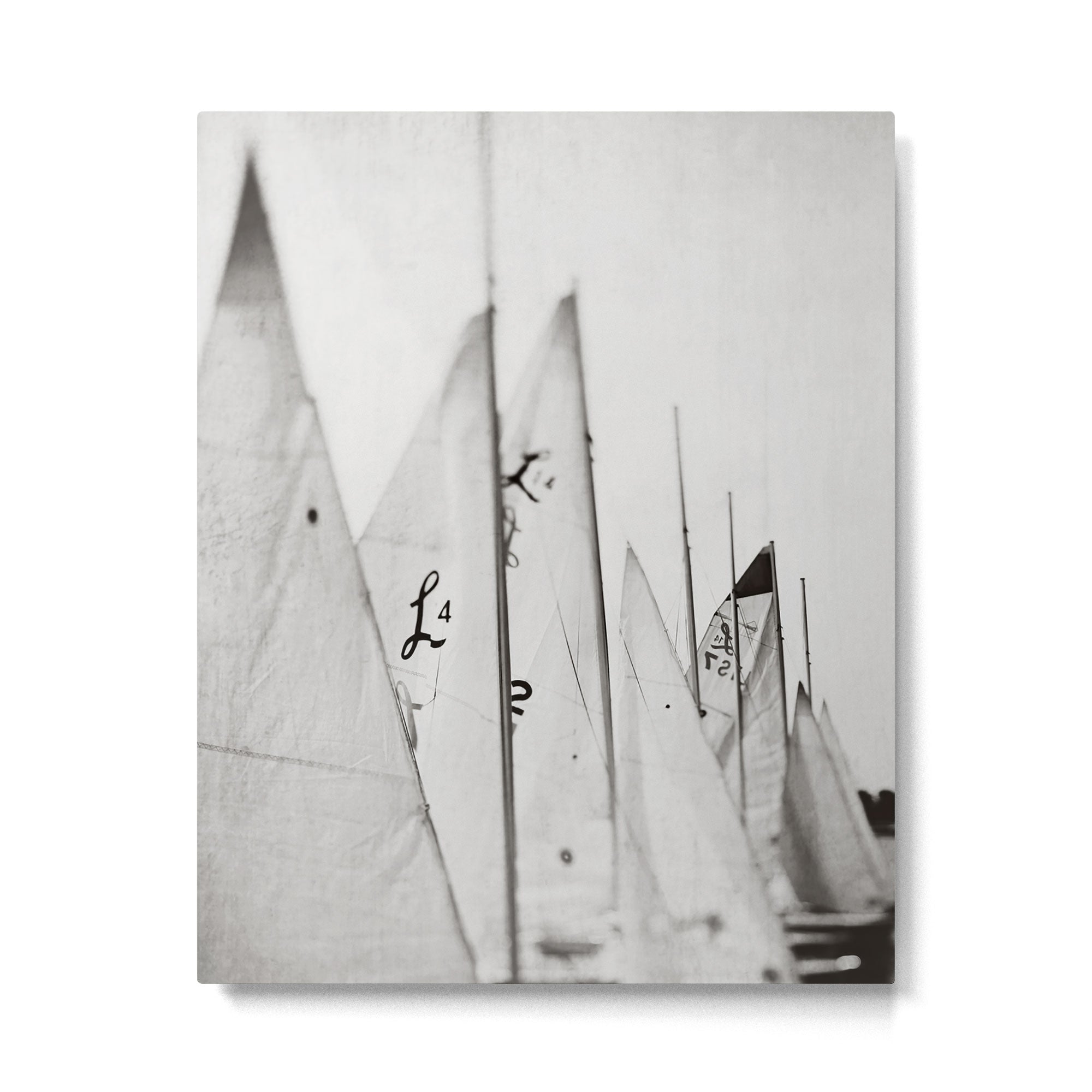 L14 #2 Metal Print Gallery Image 4