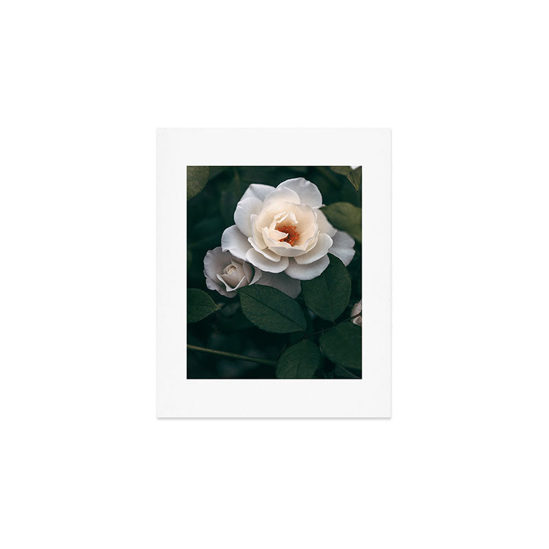 Late Autumn Rose #6 Art Print Gallery Image 1