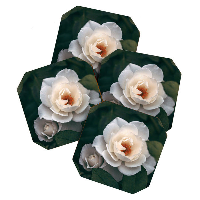 Late Autumn Rose #6 Coaster Gallery Image 1