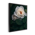 Late Autumn Rose #6 Framed Canvas Print Gallery Image 2