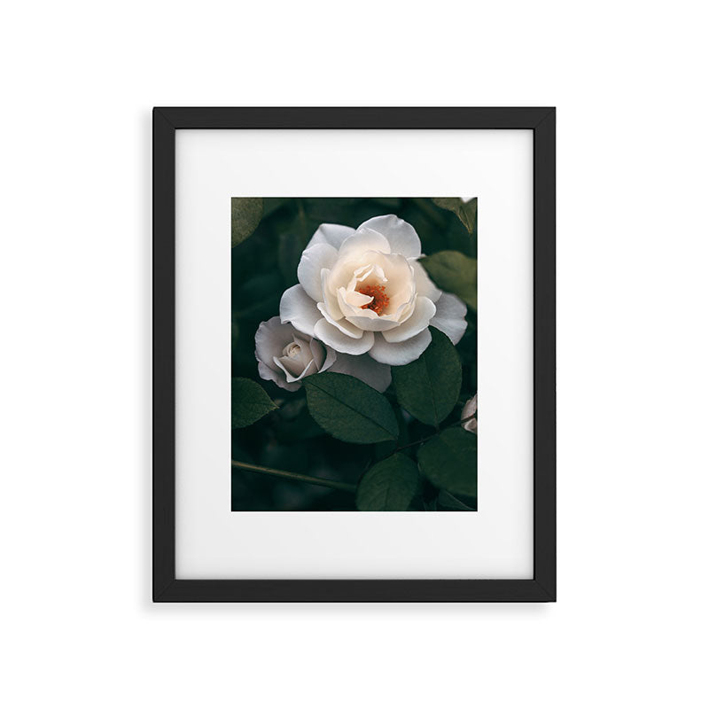 Late Autumn Rose #6 Framed Art Print Gallery Image 5