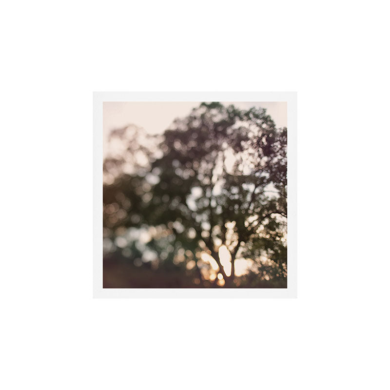 Light Through Autumn Trees Art Print Gallery Image 1