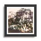 Light Through Autumn Trees Framed Art Print Gallery Image 1