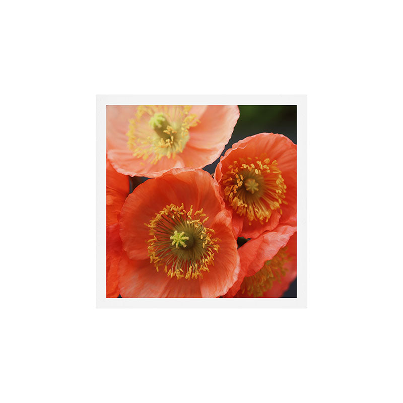 May Sunshine Art Print Gallery Image 1