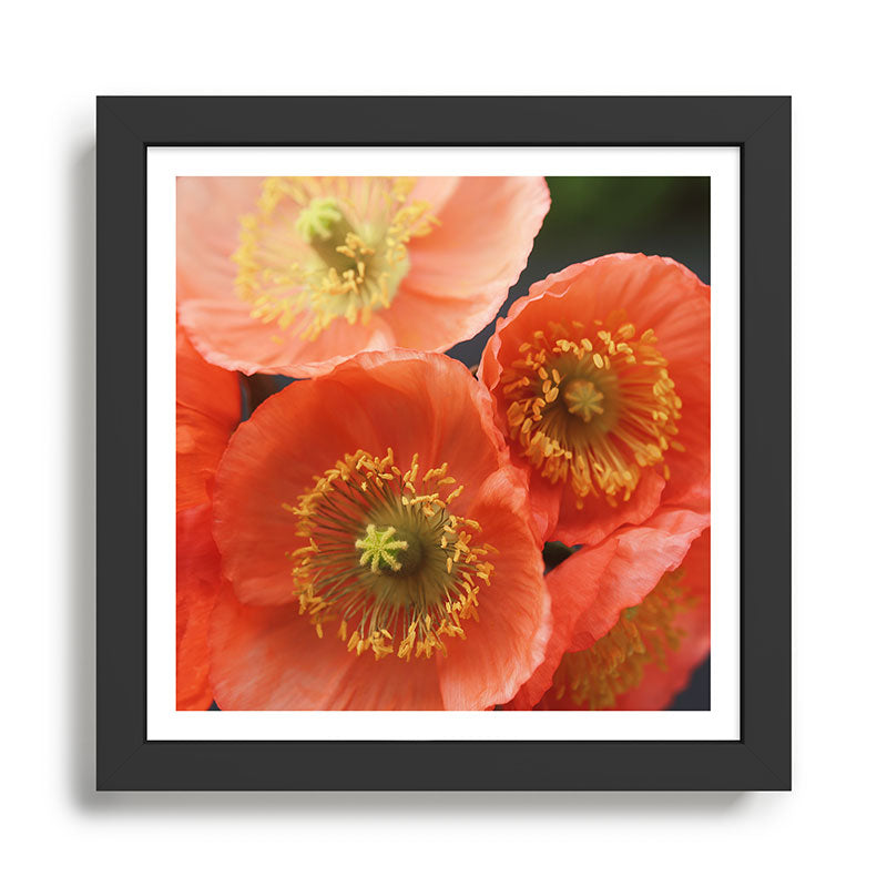 May Sunshine Framed Art Print Gallery Image 1