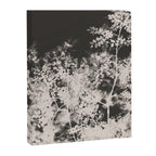 Midnight Summer Canvas Print Gallery Image 6