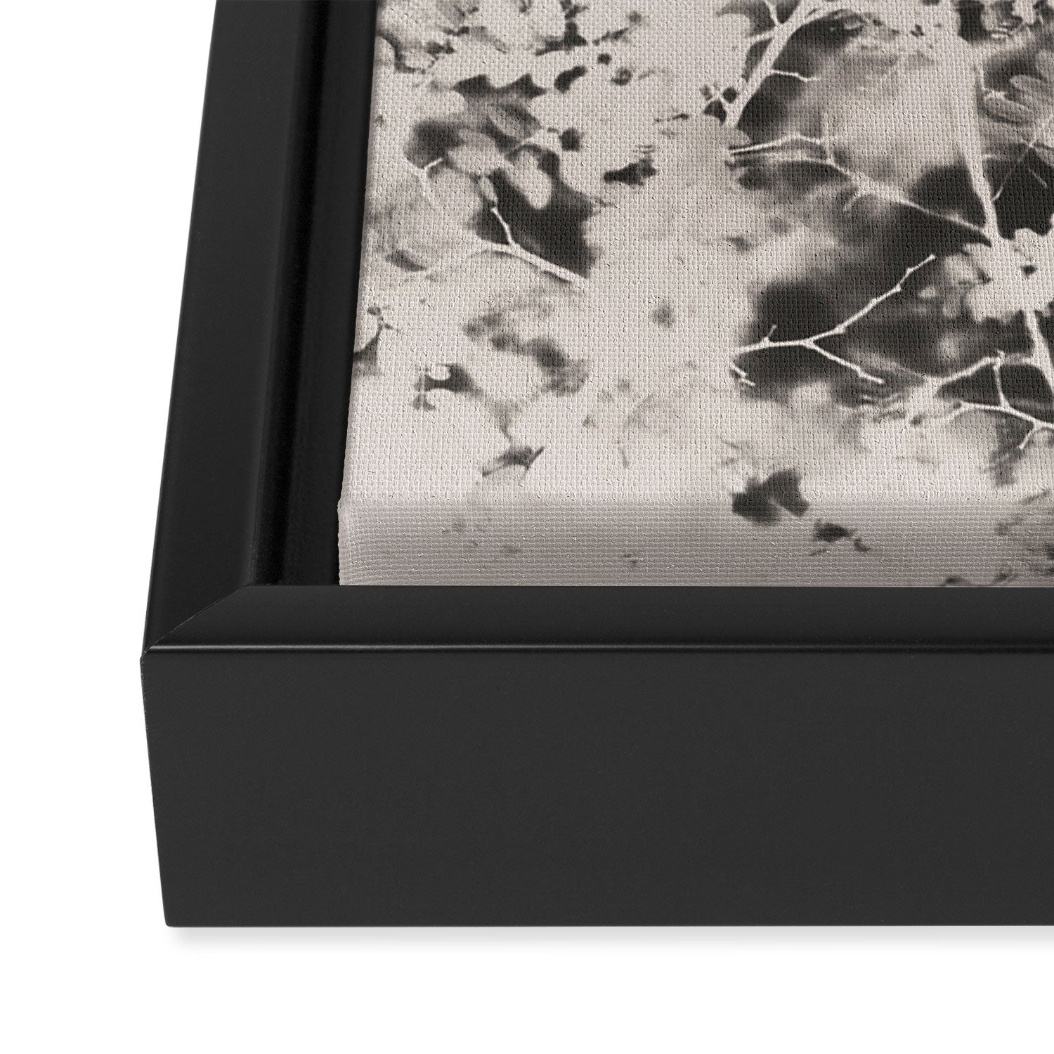 Midnight Summer Framed Canvas Print Gallery Image 3