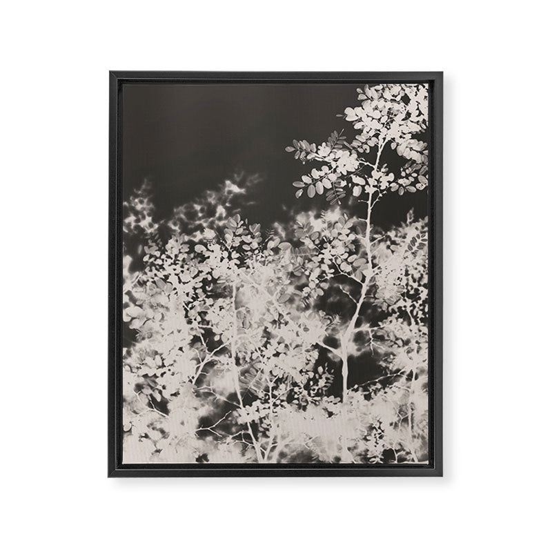 Midnight Summer Framed Canvas Print Gallery Image 6