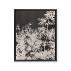 Midnight Summer Framed Canvas Print Gallery Image 6