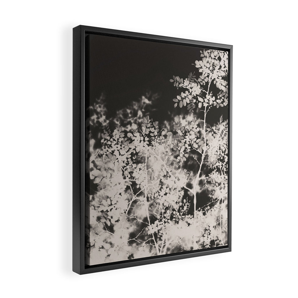 Midnight Summer Framed Canvas Print Gallery Image 2