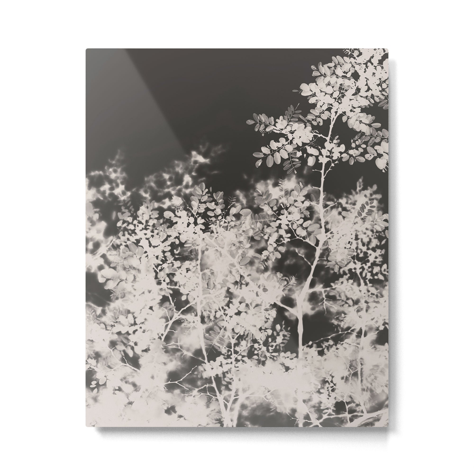 Midnight Summer Metal Print Gallery Image 4