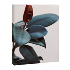 Night Ficus #2 Canvas Print Gallery Image 6