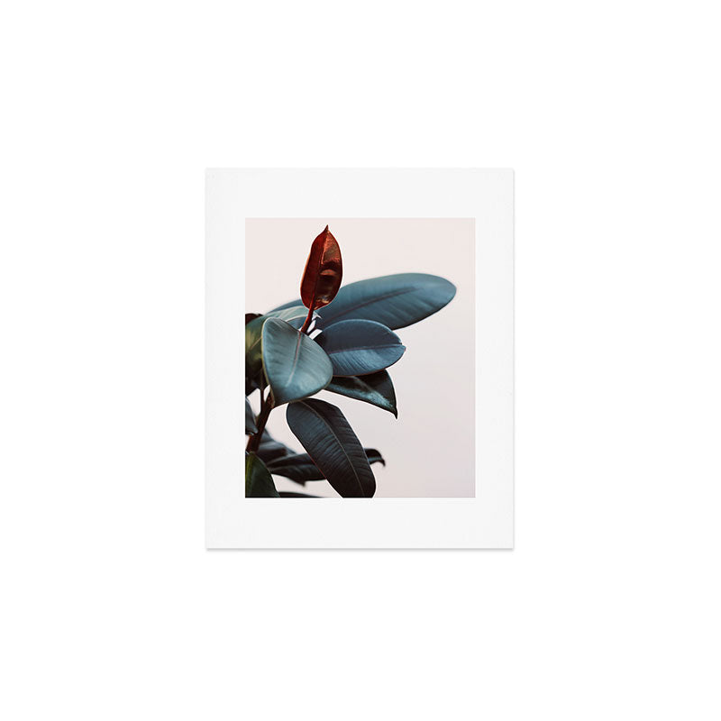 Night Ficus #2 Art Print Gallery Image 1