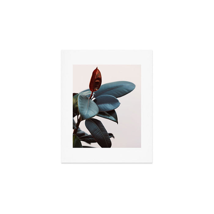 Night Ficus #2 Art Print Gallery Image 1