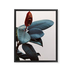 Night Ficus #2 Framed Canvas Print Gallery Image 6