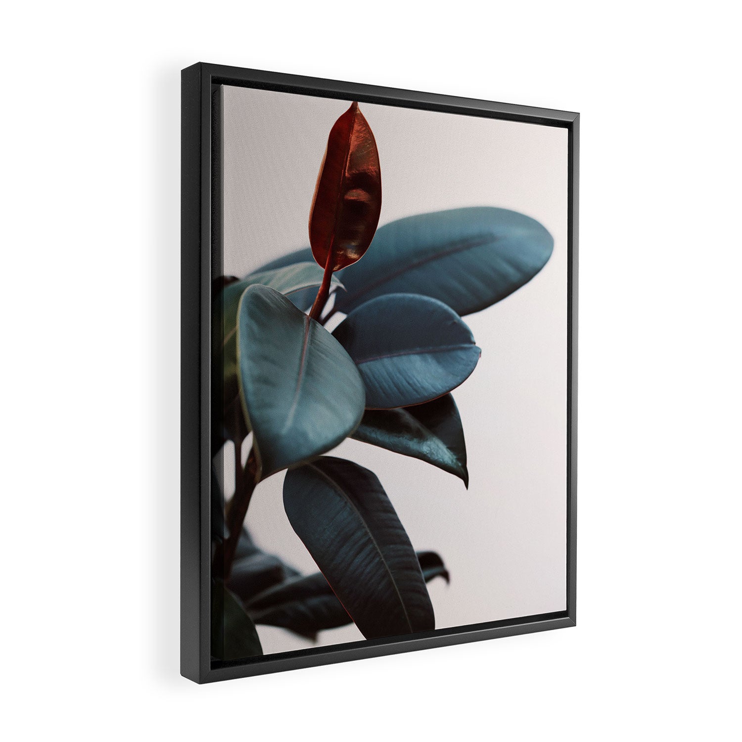 Night Ficus #2 Framed Canvas Print Gallery Image 2