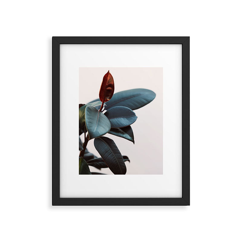 Night Ficus #2 Framed Art Print Gallery Image 5