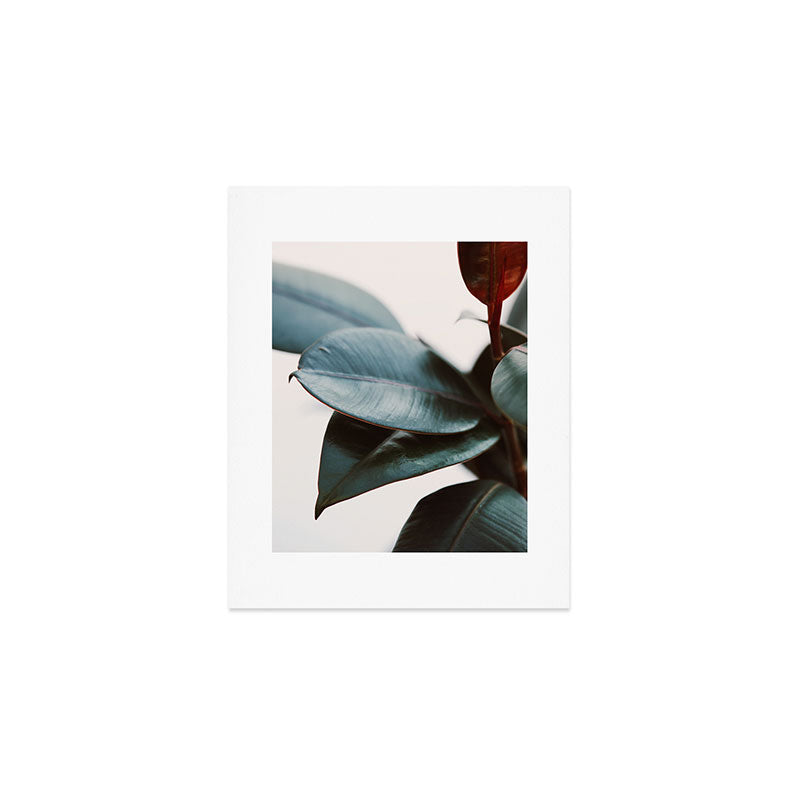 Night Ficus #3 Art Print Gallery Image 1